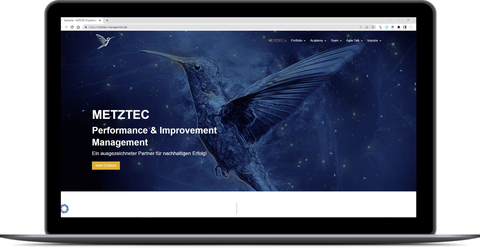 Metztec - Homepage nachher